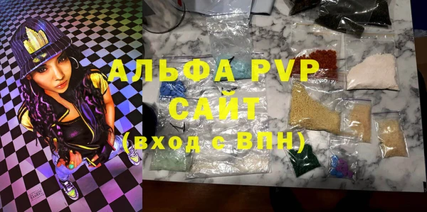 гидра Богданович