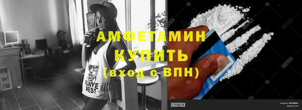 гидра Богданович