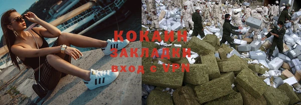 гидра Богданович