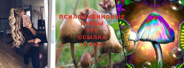 МДМА Богородск