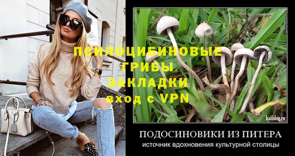 гидра Богданович
