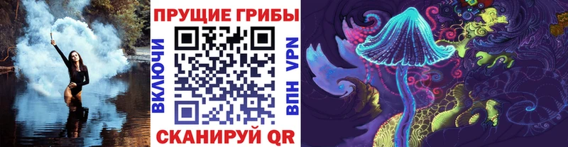 Галлюциногенные грибы MAGIC MUSHROOMS  Купить  Тейково 